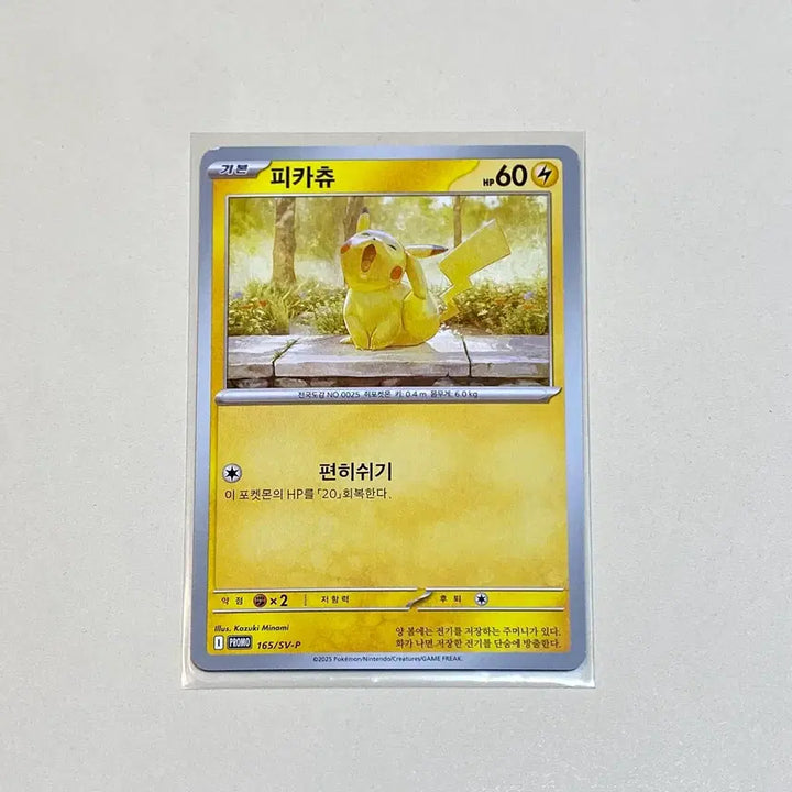 [BUNJANG] Pokemon Card Sleeping Pikachu Promo (Yawnchu) / (포켓몬카드) 앨범용 수상작품 하품 피카츄 프로모 (하품츄)