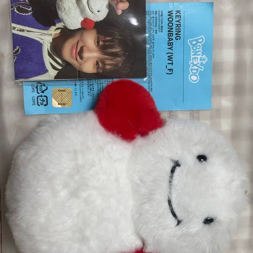[BUNJANG] BOYNEXTDOOR Yunhak PetitNeighbor Keyring Photocard Set / 보이넥스트도어 보넥도 운학 쁘넥도 운아기 판매