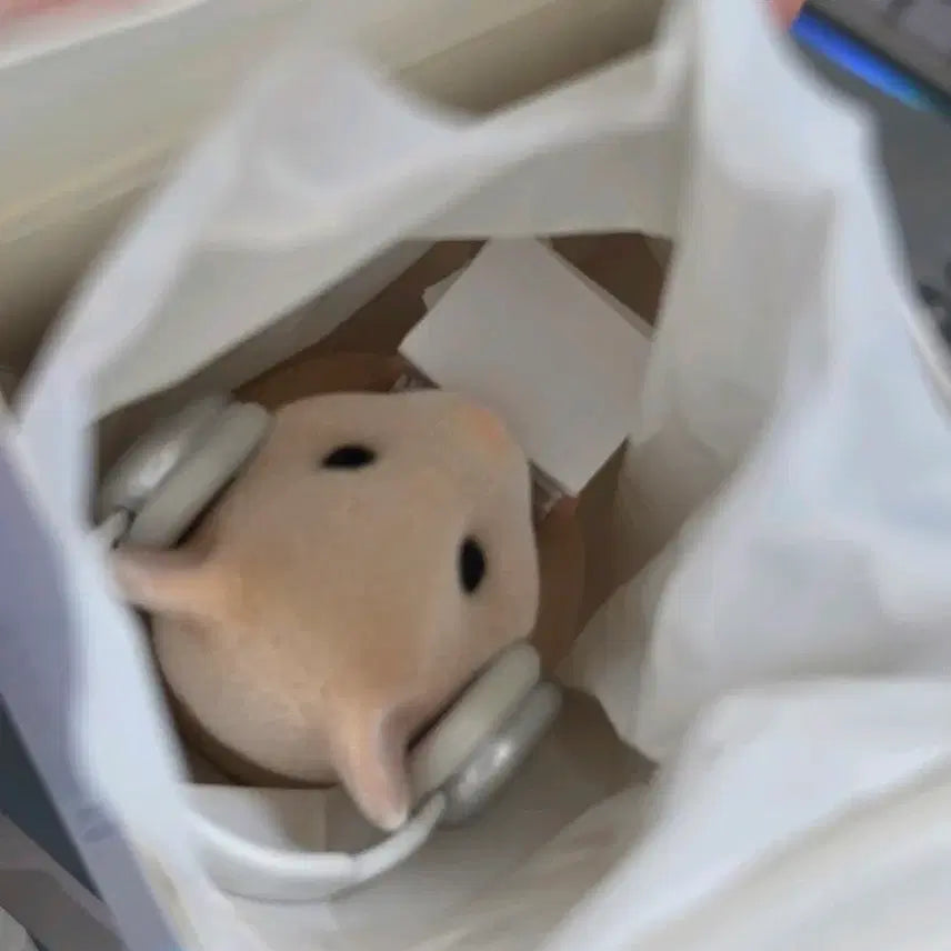 [BUNJANG] Kim Hamzzi Figure (Wearing Headphones) / (단순개봉) 헤드셋 쓰고 있는 서류폭탄 김햄찌 피규어(전시안함)