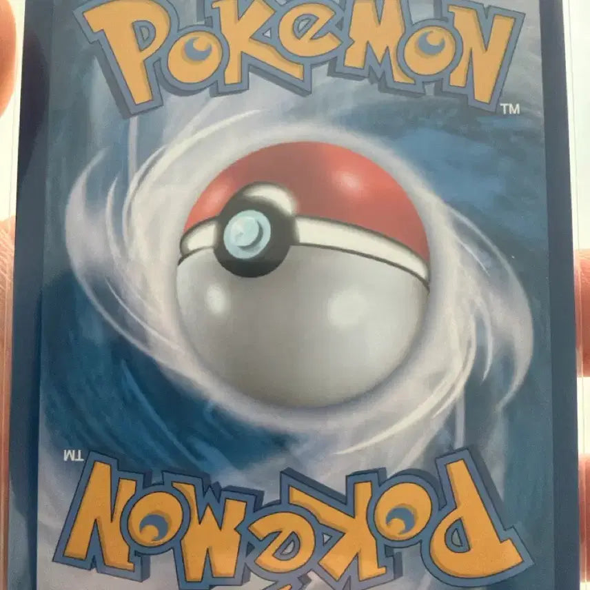 [BUNJANG] Pokemon Card Kkamtami / 포켓몬카드 깜까미