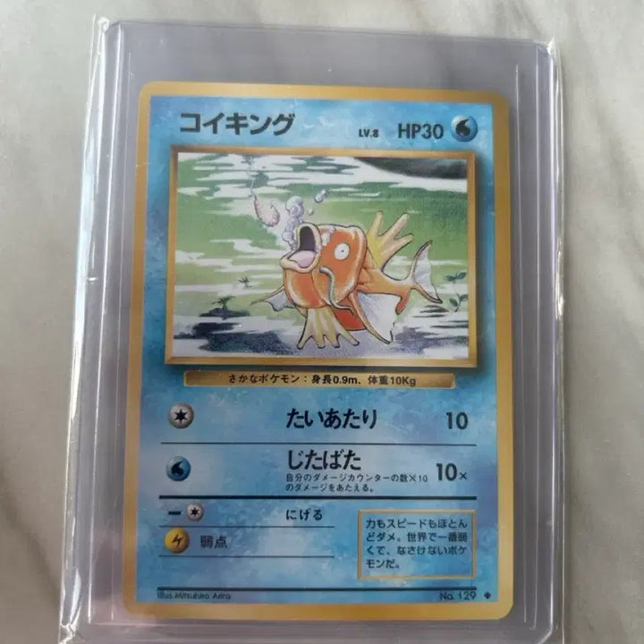 [BUNJANG] Pokemon Card Magikarp (Koiking) / 포켓몬 카드 코이킹 잉어킹 일판
