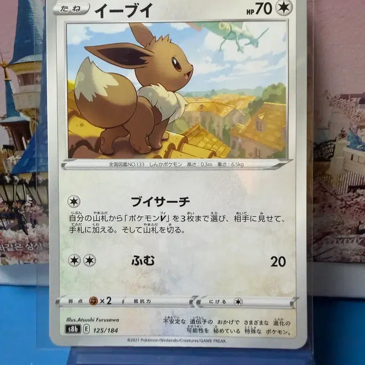[BUNJANG] Pokemon Card Rayquaza Looking Eevee A-Grade / 일판 포켓몬카드 레쿠쟈 보는 이브이 A-급