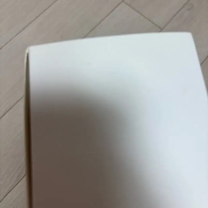 [BUNJANG] IU Official Lightstick / 아이유 공식 응원봉
