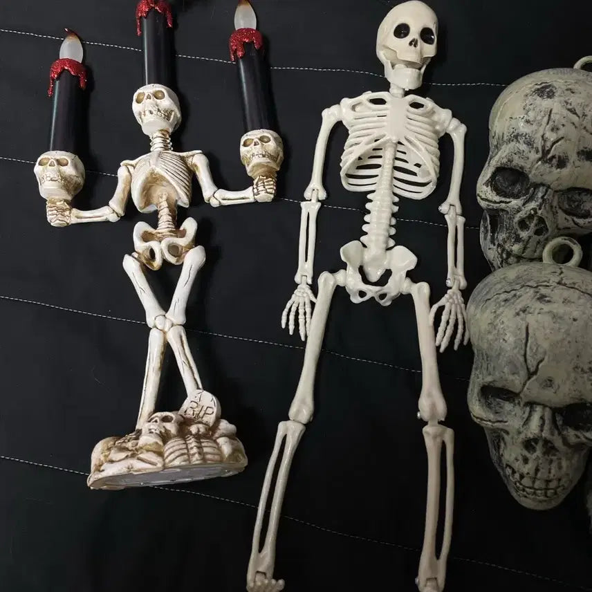 [BUNJANG] Rare Gothic Skull Spider Halloween Decor Bundle / 레어]고어한 방꾸 해골 거미 할로윈굿즈 일괄