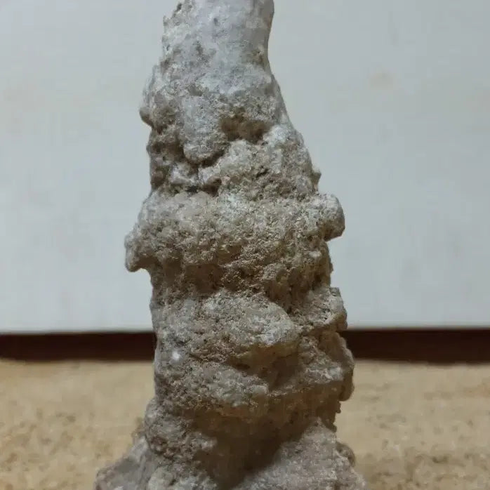 [BUNJANG] Stalactite Specimen / 수석 자연수석 종유석