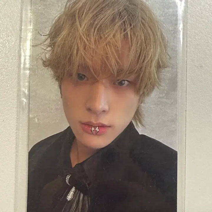 [BUNJANG] Enhypen Jake Dark Blood &