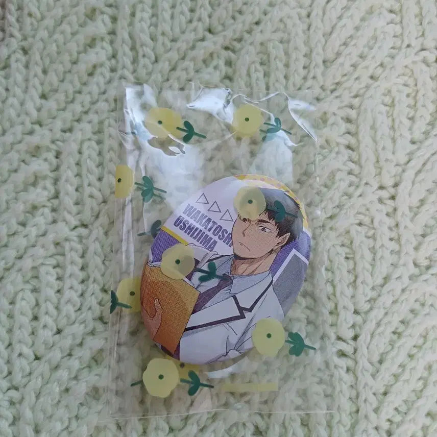 [BUNJANG] Haikyuu Ushijima Can Badge / 하이큐 우시지마 캔뱃지