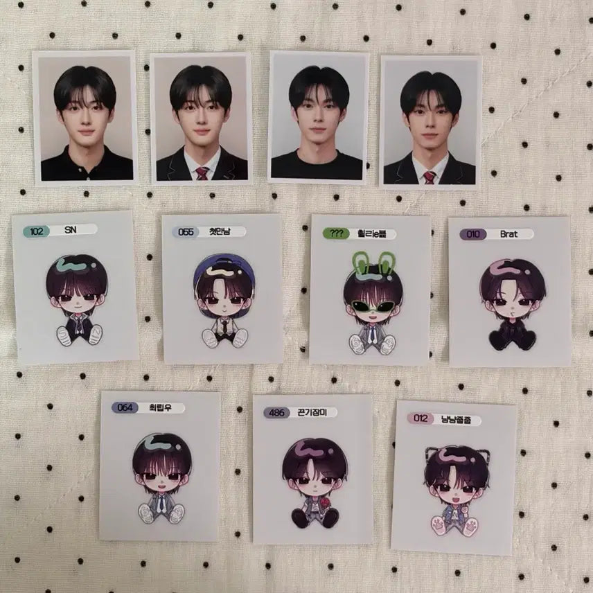[BUNJANG] Flare U Choi Ripwoo, Jeong Sanghyun Photo Sticker Bundle Set / 플레어유 최립우 알디원 정상현 증사 띠부씰 일괄