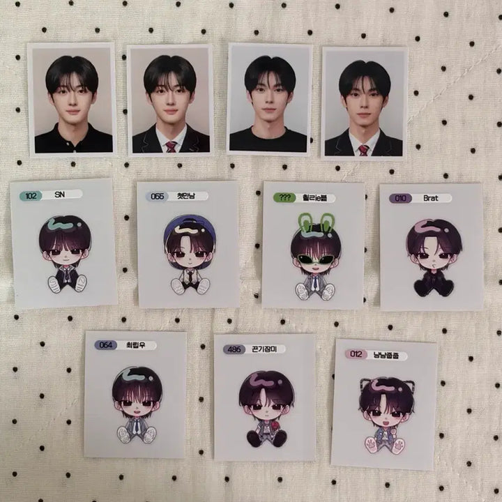 [BUNJANG] Flare U Choi Ripwoo, Jeong Sanghyun Photo Sticker Bundle Set / 플레어유 최립우 알디원 정상현 증사 띠부씰 일괄