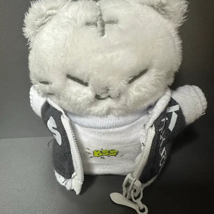[BUNJANG] SEVENTEEN Hoshi Doll (Hoshi) / 세븐틴 호시 인형(호찌)