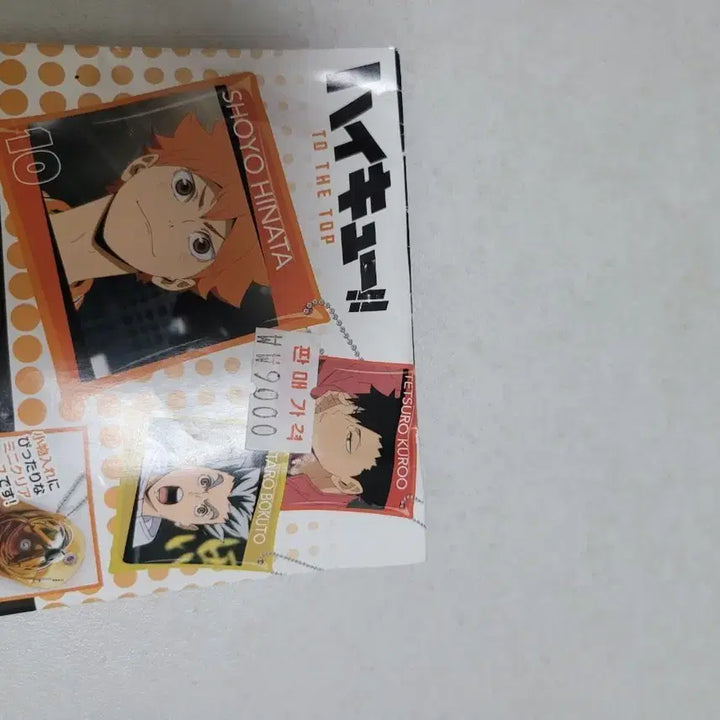 [BUNJANG] Haikyu!! Kozume Kenma Multi Clear Case / 하이큐!! 멀티 클리어 케이스 켄마
