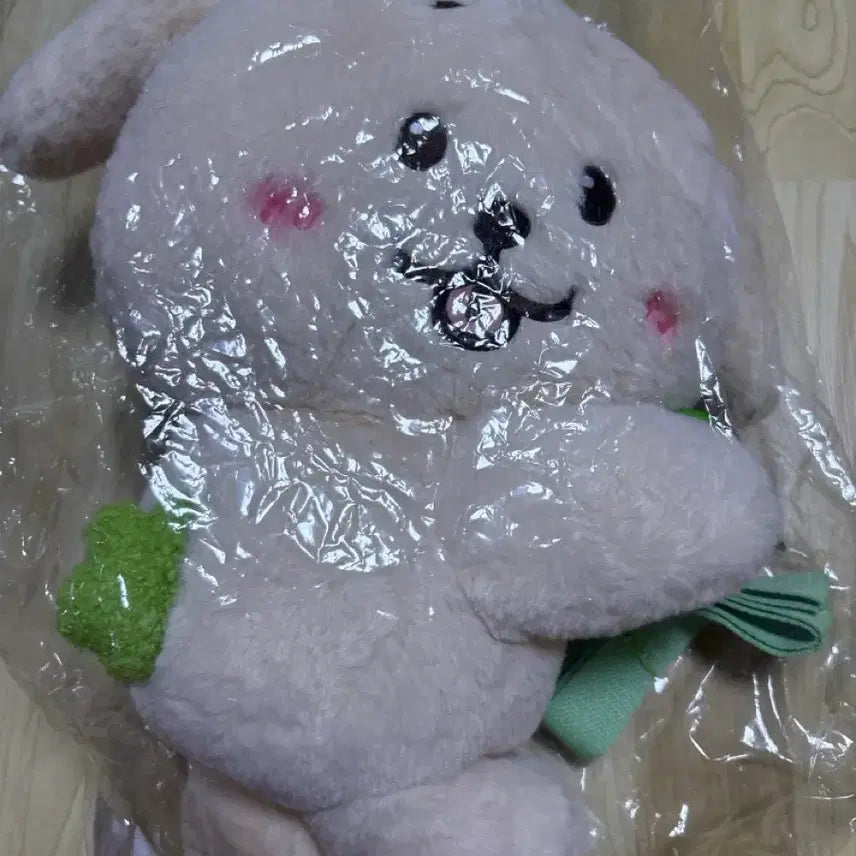[BUNJANG] NCT WISH Wish Jaehee Dangtriever Bag / 엔시티 위시 엔위시 재희 인형 댕트리버 가방 양도합니다