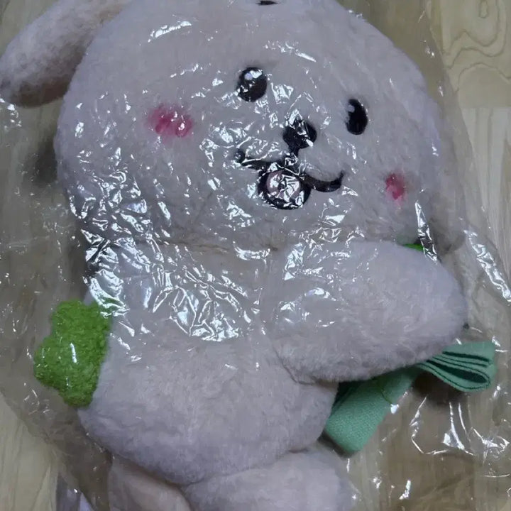 [BUNJANG] NCT WISH Wish Jaehee Dangtriever Bag / 엔시티 위시 엔위시 재희 인형 댕트리버 가방 양도합니다