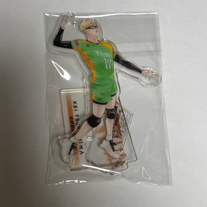 [BUNJANG] Haikyu!! Tsukishima Acrylic Standee / 하이큐 크로니클 츠키시마 아크릴