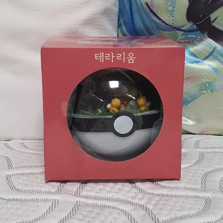 [BUNJANG] Pokemon Eevee Terrarium Monster Ball Mood Lamp / 포켓몬스터 이브이 테라리움 몬스터볼 무드등