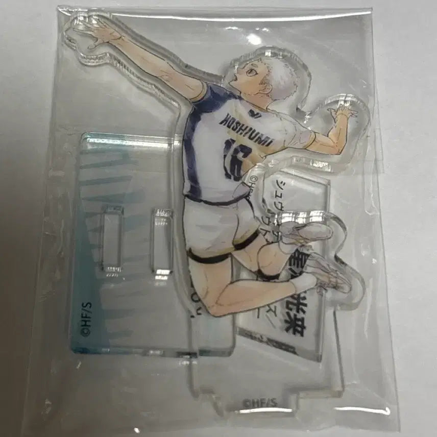 [BUNJANG] Haikyuu!! Hoshiumi Acrylic Standee / 하이큐 크로니클 호시우미 아크릴