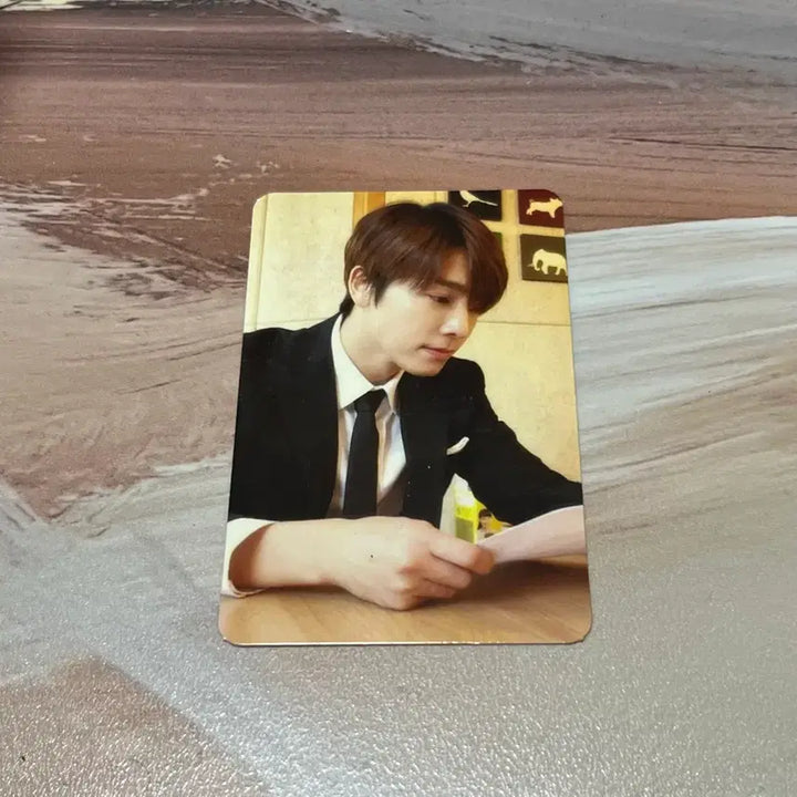 [BUNJANG] Super Junior Donghae Photocard / 슈퍼주니어 동해 포토카드