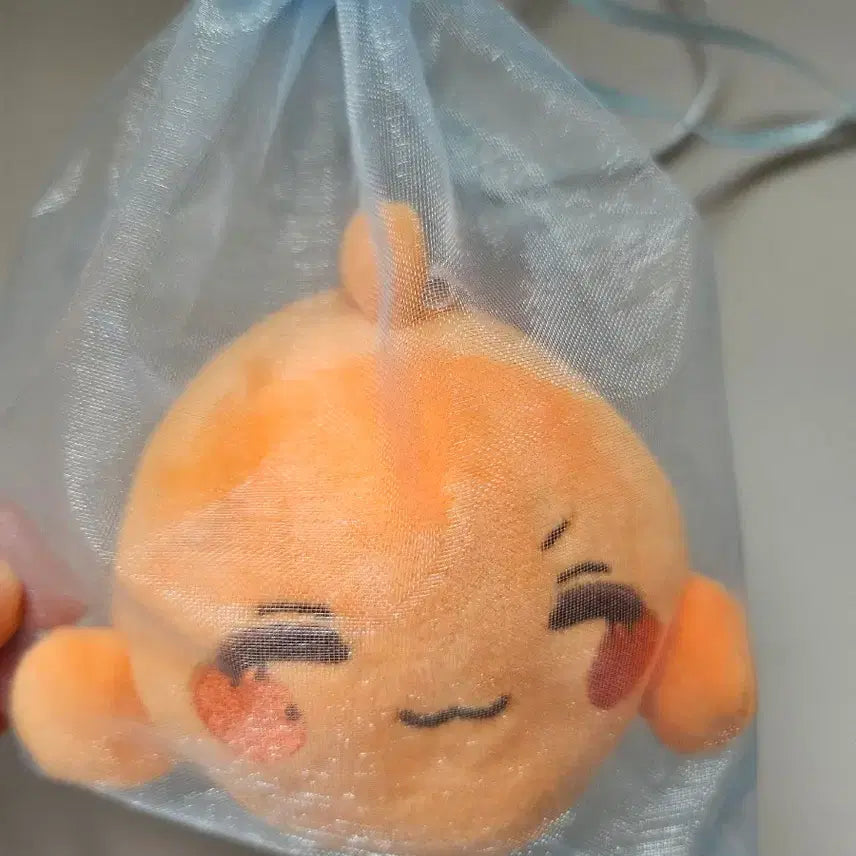 [BUNJANG] Jjong Bungeo Plush / 쫑붕어 한 마리 팔아요