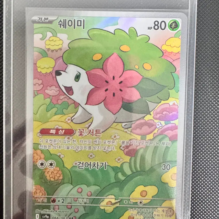 [BUNJANG] Pokemon Card Shaymin AR / 포켓몬 카드 쉐이미 ar