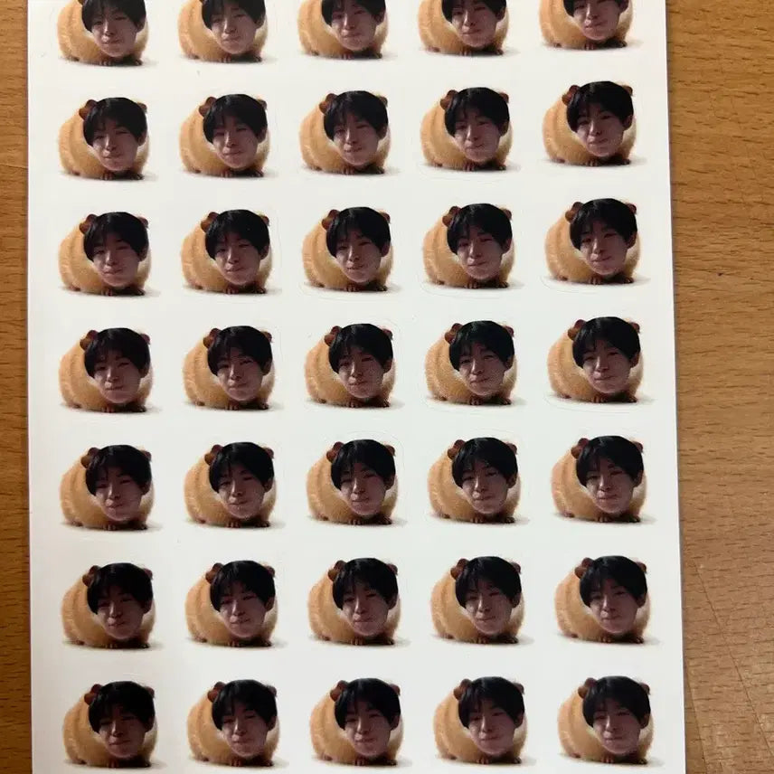 [BUNJANG] NCT WISH Yushi Fan-made Stickers / 엔시티위시 유우시 비공굿 스티커 판매