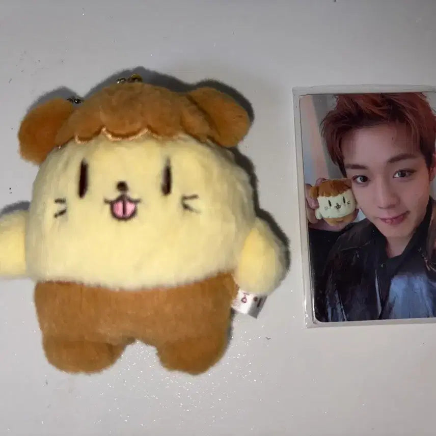[BUNJANG] Park Jihoon Ppoomi Doll Keychain (Photocard Included) / 박지훈 뿌움이 인형 키링 ( 포카 O )