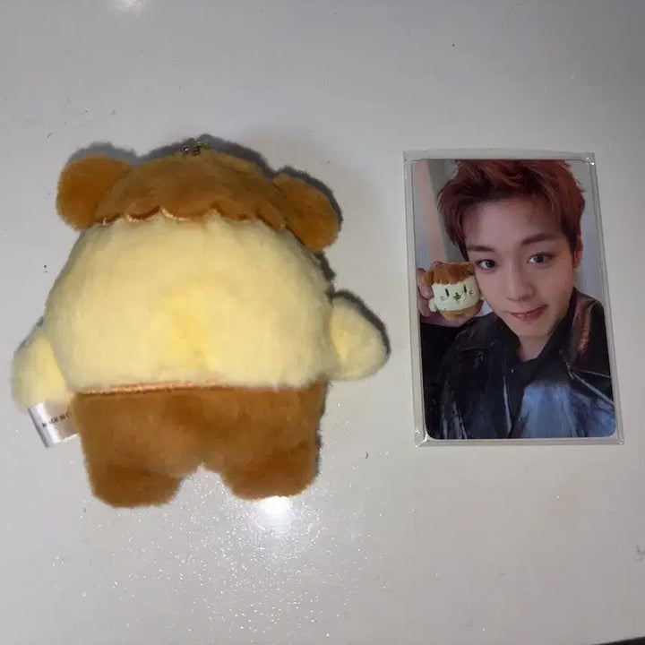 [BUNJANG] Park Jihoon Ppoomi Doll Keychain (Photocard Included) / 박지훈 뿌움이 인형 키링 ( 포카 O )