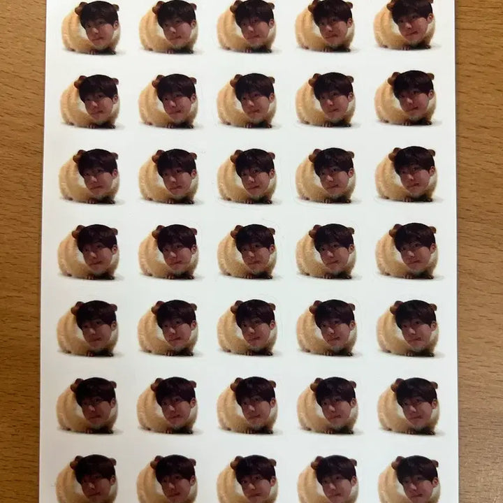 [BUNJANG] NCT WISH Zion Guinea Pig Zion Sticker Set / 엔시티위시 시온 기니피그시온 비공굿 판매