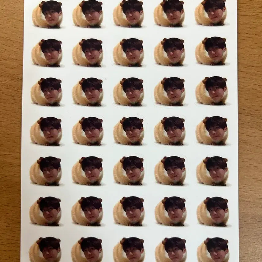 [BUNJANG] NCT WISH Zion Guinea Pig Zion Sticker Set / 엔시티위시 시온 기니피그시온 비공굿 판매