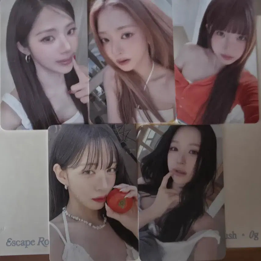 [BUNJANG] fromis_9 Popup Photocard / 프로미스나인 팝업 포토카드