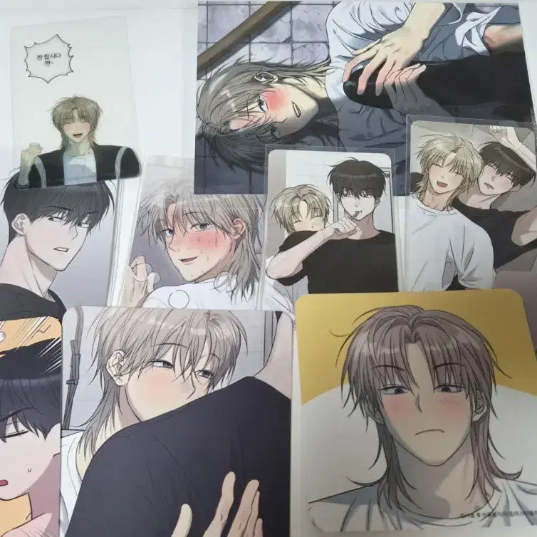 [BUNJANG] Mr. Blue (B-ON) Lucky Draw Bundle Set Photocard / 사반불 사용후반품불가 비온 특전 일괄 미블 미스터블루 레봄