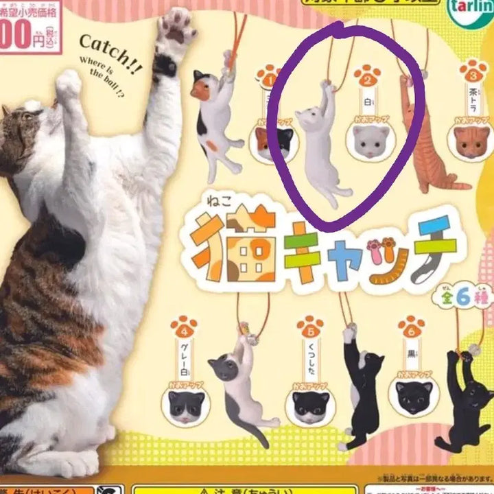 [BUNJANG] Cat Figure Gacha / 고양이 피규어 가챠