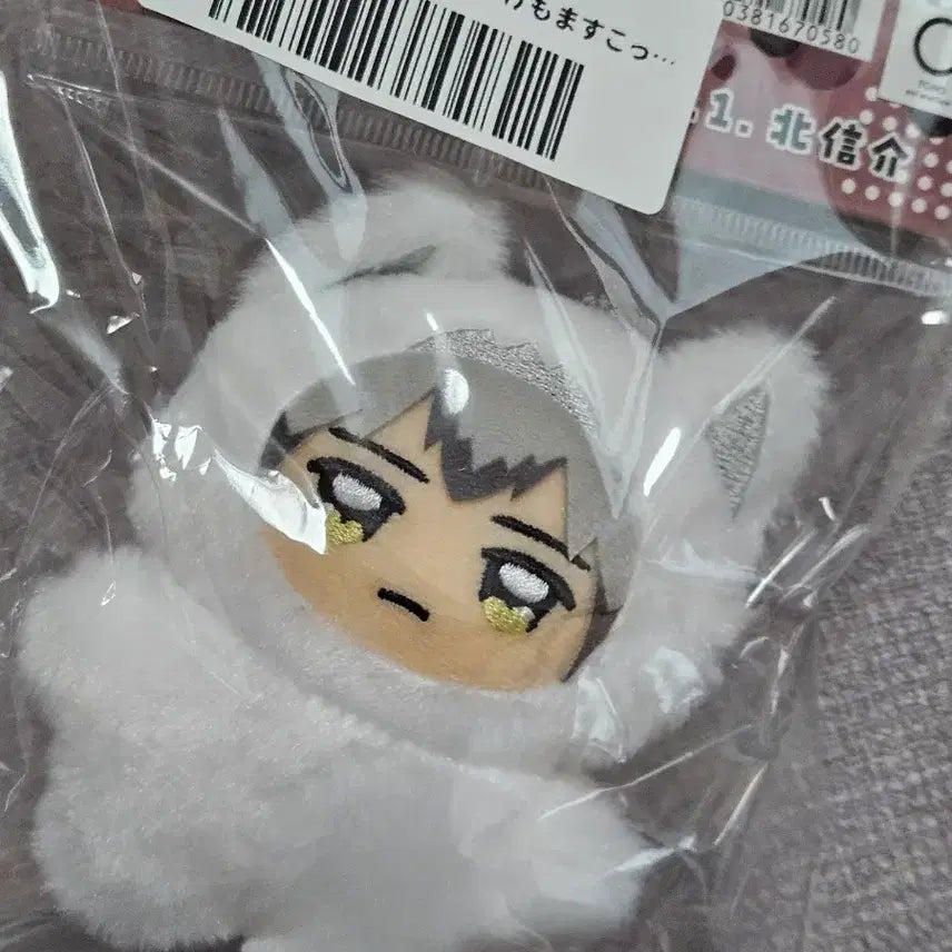 [BUNJANG] Haikyuu Shinsuke Kita Chimikemo &amp; Unofficial Plush / 하이큐 키타 신스케 치미케모, 비공식 누이