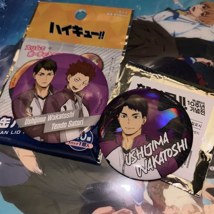 [BUNJANG] Haikyuu!! Wakatoshi Ushijima Can Badge &amp; Daiso Mirror Set / [하이큐] 우시지마 와카토시 캔뱃지 다이소 거울