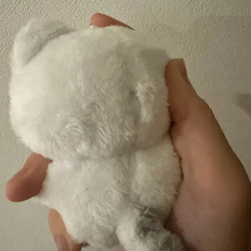 [BUNJANG] Hoshi Doll / 급처)호찌 인형 팔아요
