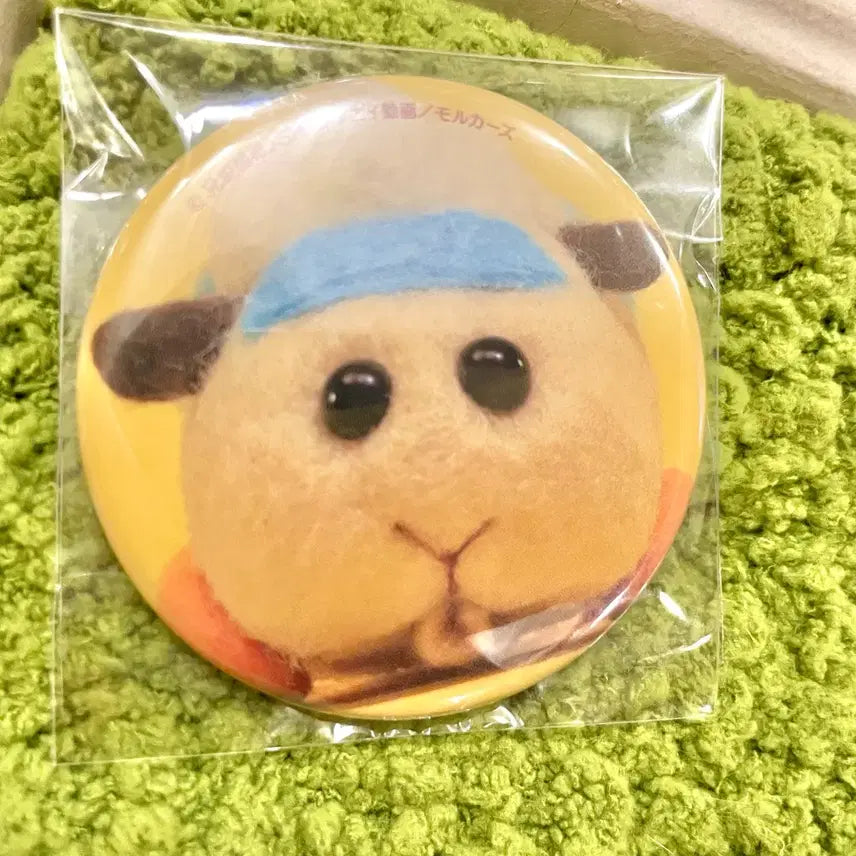 [BUNJANG] PuiPui Molcar Abby Can Badge / 뿌이뿌이 실사 모루카 캔뱃지 아비