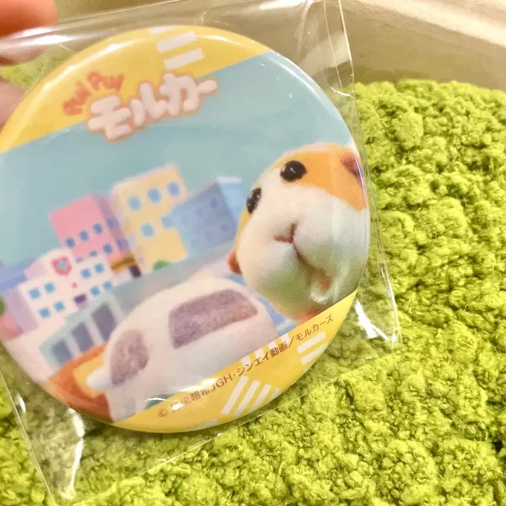 [BUNJANG] Morucca Potato Real Photo Can Badge / 뿌이뿌이 모루카 실사 캔뱃지 포테토