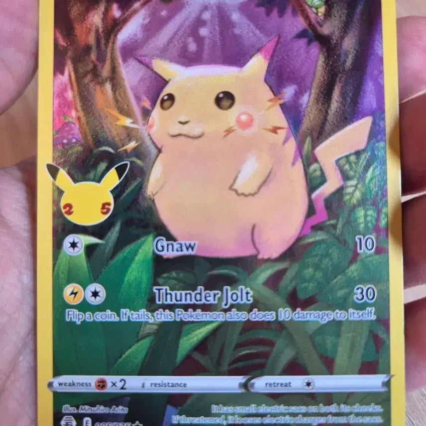 [BUNJANG] Pokemon Cards Bundle - North America &amp; Japan Editions / 포켓몬카드 일괄 북미판,한판
