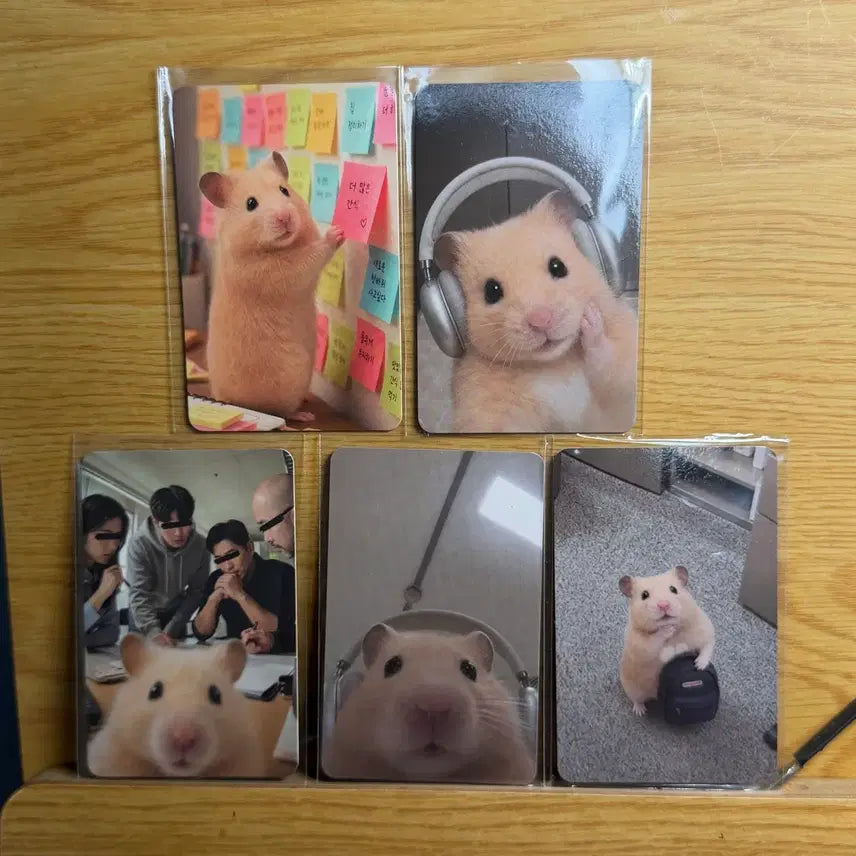 [BUNJANG] Kim Hamzzi Photocard Set (5 types) / 김햄찌 포토카드 5종