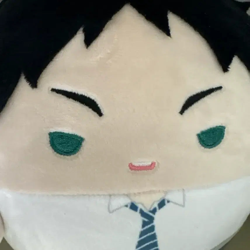 [BUNJANG] Akashi Keiji Fuwacoring M / 아카아시 케이지 후와코로링 M