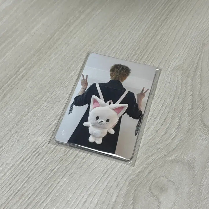 [BUNJANG] Stray Kids Concert 7/26 Entry POB Photocard 8-Piece Bundle Set (Sealed) / 미개봉) 스트레이키즈 콘서트 7/26 입장 특전 포카 8장 일괄