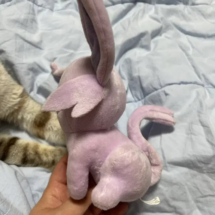 [BUNJANG] Pokemon Transform Ditto Eevee Version Plush Doll / [포켓몬스터] 변신 메타몽 에브이 버전 인형
