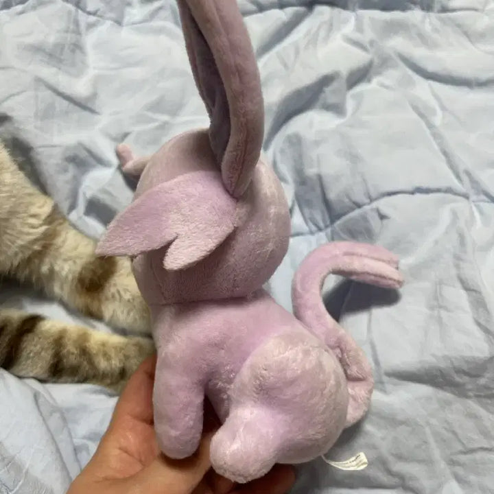 [BUNJANG] Pokemon Transform Ditto Eevee Version Plush Doll / [포켓몬스터] 변신 메타몽 에브이 버전 인형