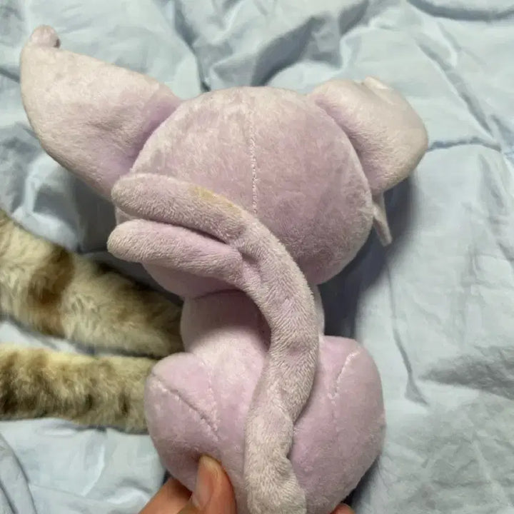 [BUNJANG] Pokemon Transform Ditto Eevee Version Plush Doll / [포켓몬스터] 변신 메타몽 에브이 버전 인형