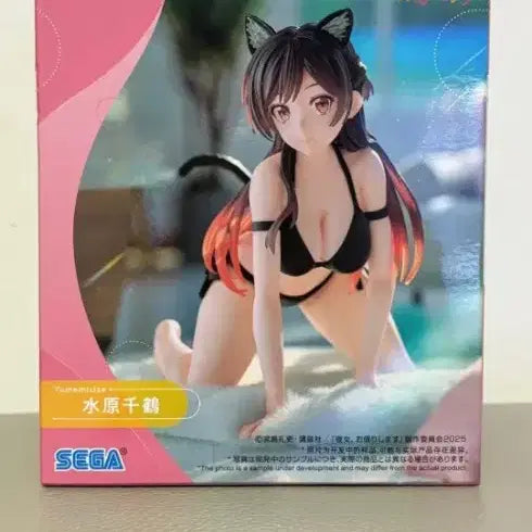 [BUNJANG] Sega Rent-A-Girlfriend Yumemirise Mizuhara Chizuru Figure (Sealed) / (미개봉) 세가 여친 빌리겠습니다 유메미라이즈 피규어 미즈하라 치즈루