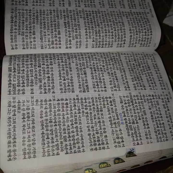 [BUNJANG] Vintage Daesan Seoseogonghoe Large Print Bible with Burgundy Leather Case / 빈티지댕산성서공회큰글자성경 가죽 성경 케이스 버건디색