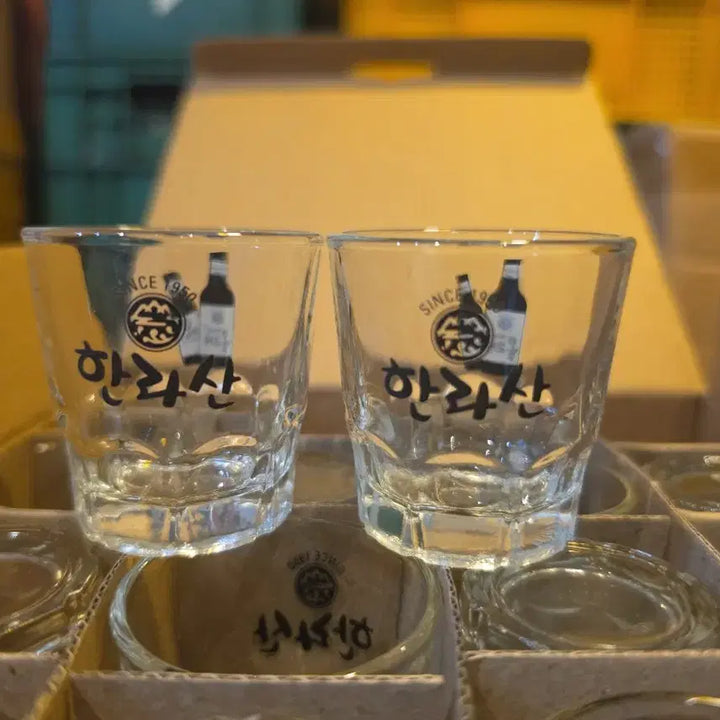 [BUNJANG] Hallasan Olle Soju Glass Set (Vintage) / 한라산 올래 소주잔 소주컵 술잔 레트로 빈티지 컵 잔