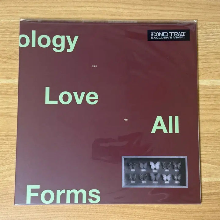 [BUNJANG] 12BH An Anthology of Love LP (Sealed) / 12BH 원투비하이 An Anthology of Love LP 미개봉