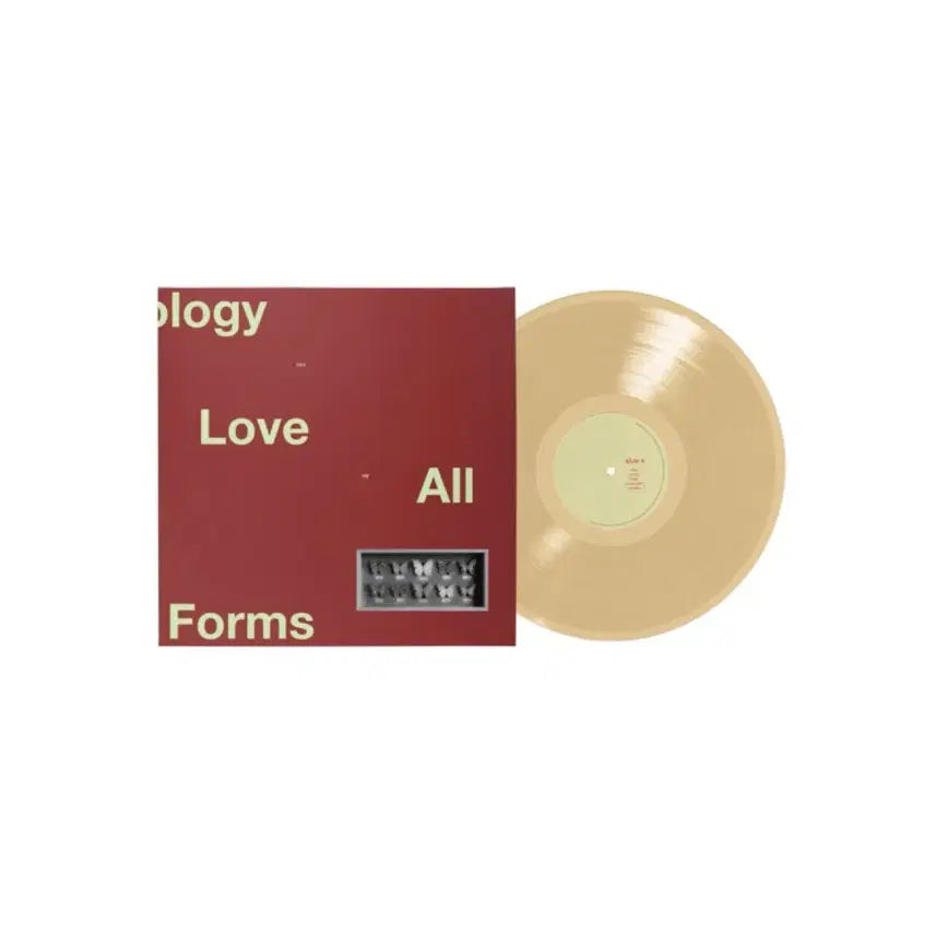 [BUNJANG] 12BH An Anthology of Love LP (Sealed) / 12BH 원투비하이 An Anthology of Love LP 미개봉