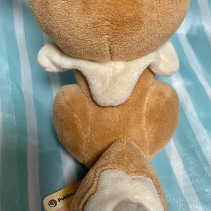 [BUNJANG] Pokemon Metamon Eeveelutions Transformation Plush Toy / 포켓몬스터  변신 메타몽 이브이즈 변신 인형