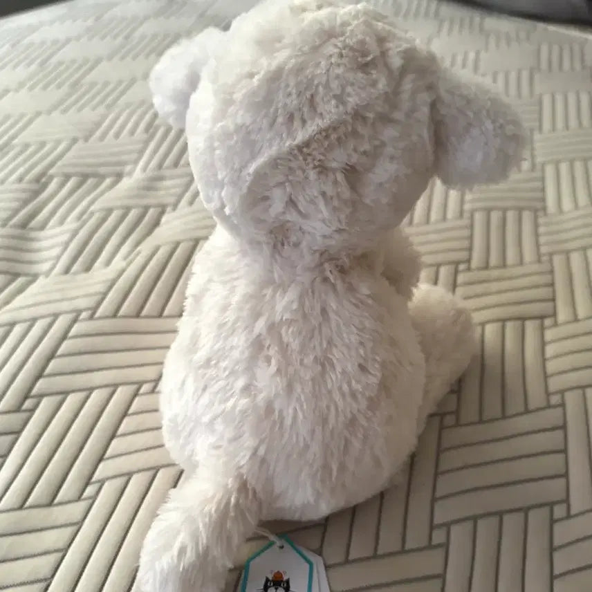 [BUNJANG] Jellycat Smudge Lamb M Size Plush Toy / jellycat 스머지램 젤리캣 정품
